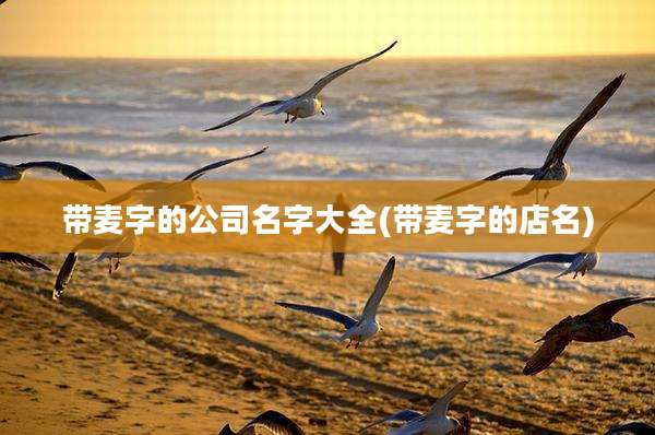 带麦字的公司名字大全(带麦字的店名)