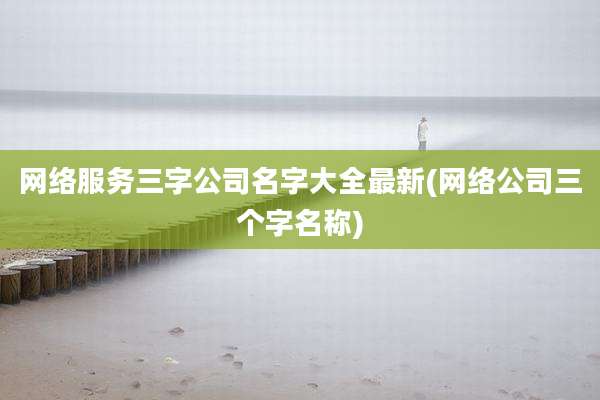 网络服务三字公司名字大全最新(网络公司三个字名称)