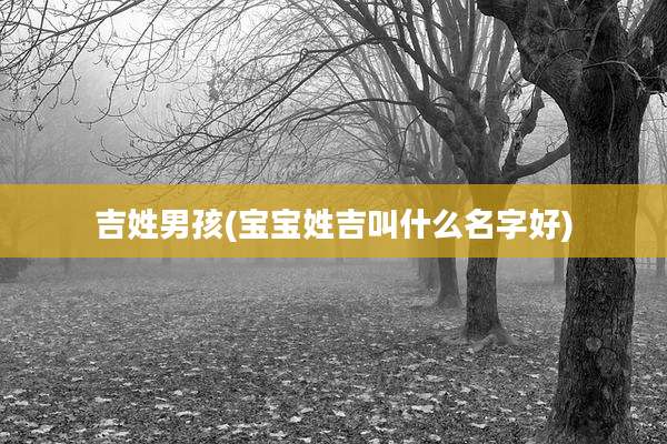 吉姓男孩(宝宝姓吉叫什么名字好)