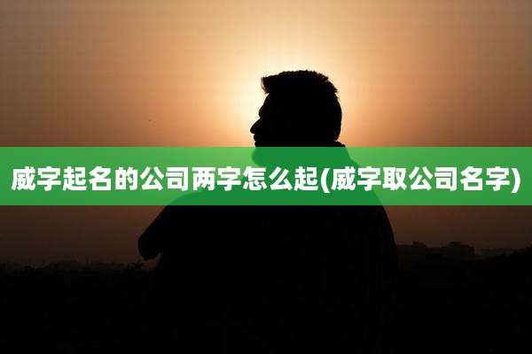 威字起名的公司两字怎么起(威字取公司名字)