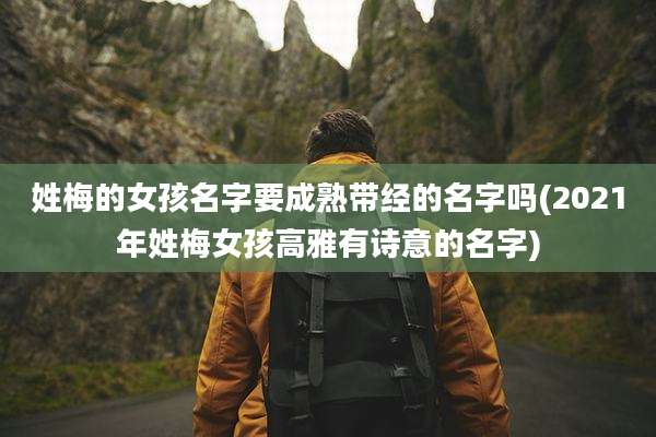 姓梅的女孩名字要成熟带经的名字吗(2021年姓梅女孩高雅有诗意的名字)