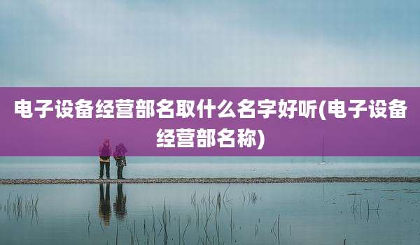 电子设备经营部名取什么名字好听(电子设备经营部名称)