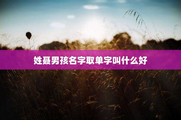 姓聂男孩名字取单字叫什么好