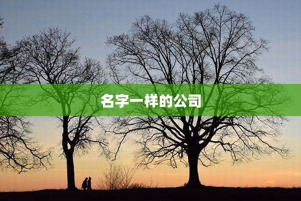 名字一样的公司