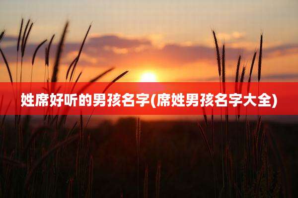 姓席好听的男孩名字(席姓男孩名字大全)