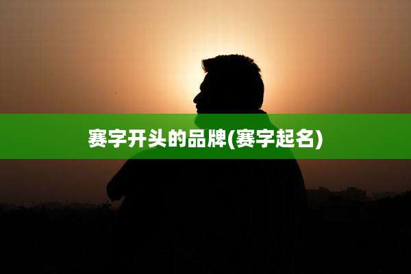 赛字开头的品牌(赛字起名)