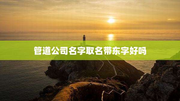 管道公司名字取名带东字好吗