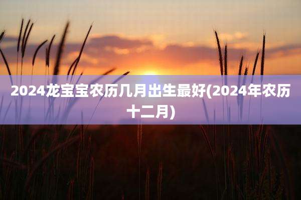 2024龙宝宝农历几月出生最好(2024年农历十二月)