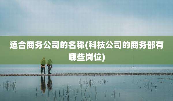 适合商务公司的名称(科技公司的商务部有哪些岗位)
