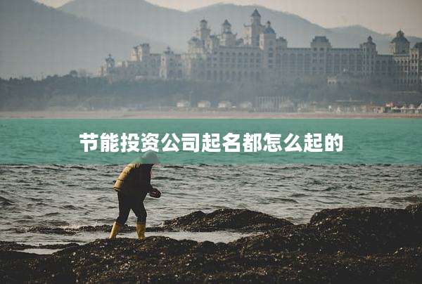 节能投资公司起名都怎么起的