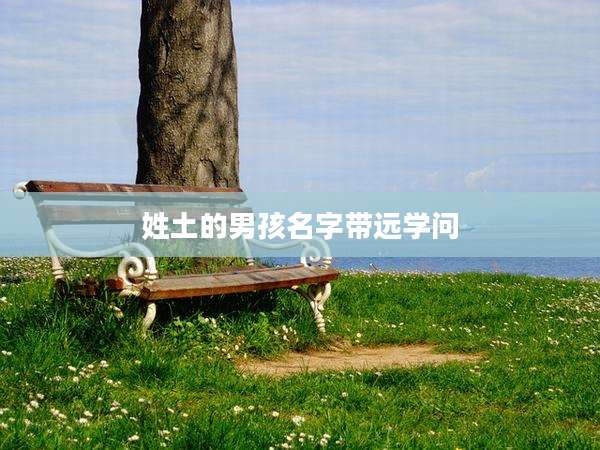 姓土的男孩名字带远学问