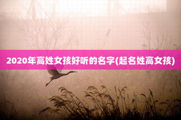 2020年高姓女孩好听的名字(起名姓高女孩)