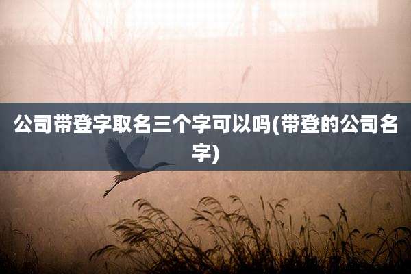 公司带登字取名三个字可以吗(带登的公司名字)
