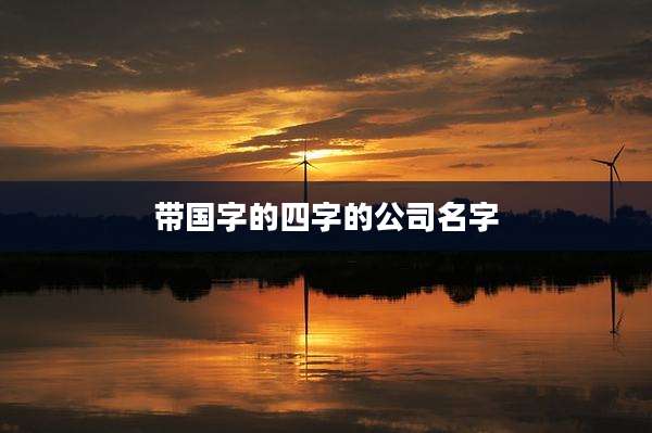 带国字的四字的公司名字