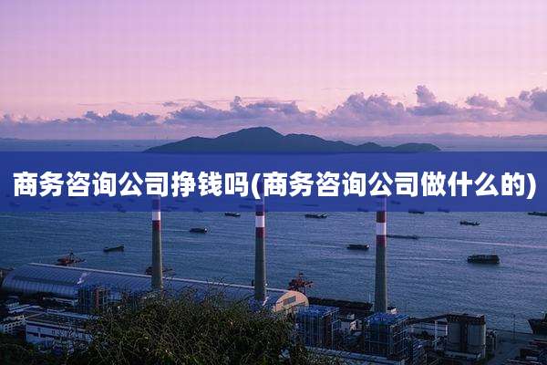 商务咨询公司挣钱吗(商务咨询公司做什么的)