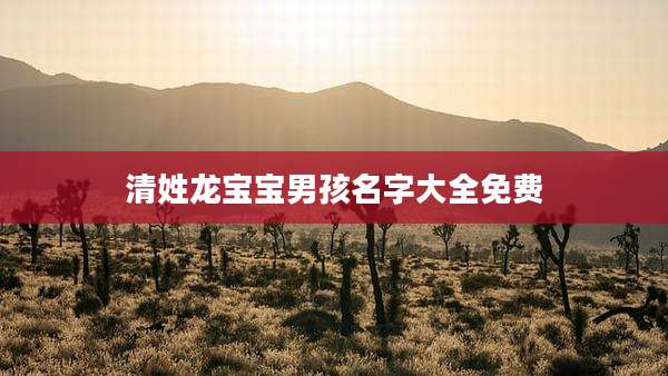 清姓龙宝宝男孩名字大全免费