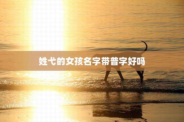 姓弋的女孩名字带普字好吗