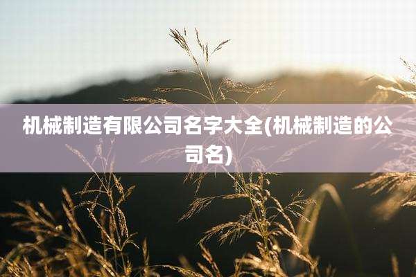机械制造有限公司名字大全(机械制造的公司名)