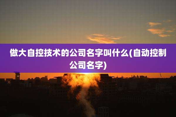做大自控技术的公司名字叫什么(自动控制公司名字)