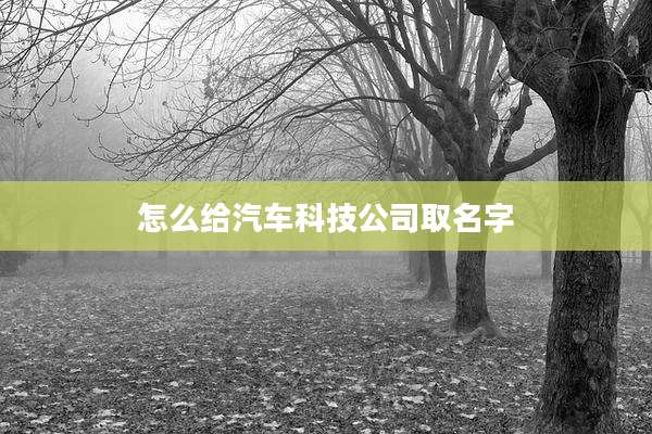 怎么给汽车科技公司取名字