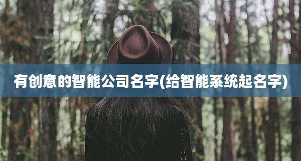 有创意的智能公司名字(给智能系统起名字)