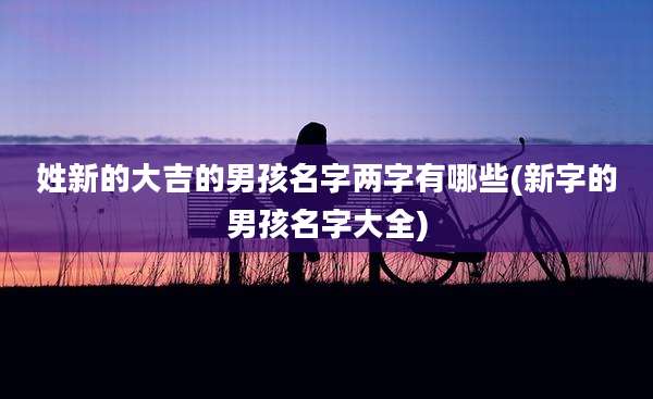 姓新的大吉的男孩名字两字有哪些(新字的男孩名字大全)