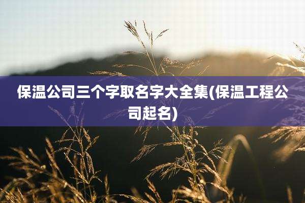 保温公司三个字取名字大全集(保温工程公司起名)