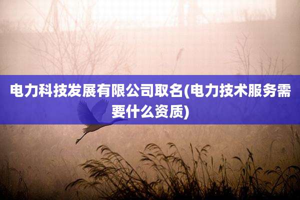 电力科技发展有限公司取名(电力技术服务需要什么资质)