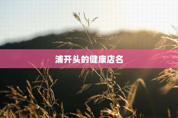 浦开头的健康店名