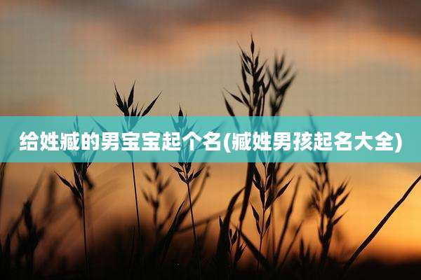 给姓臧的男宝宝起个名(臧姓男孩起名大全)