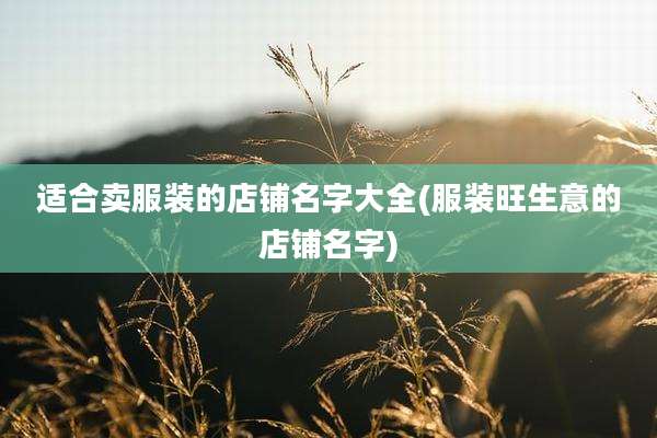 适合卖服装的店铺名字大全(服装旺生意的店铺名字)