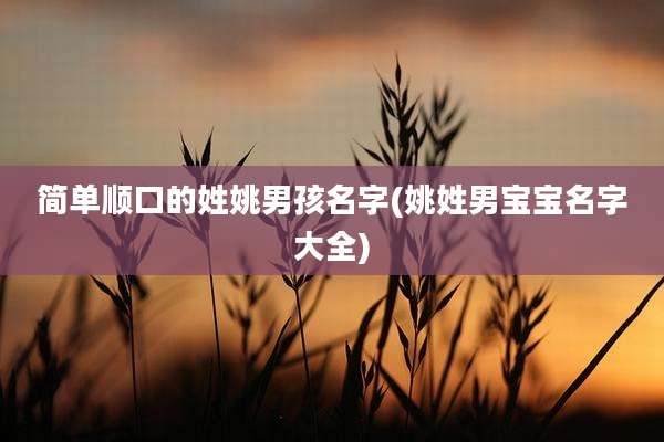 简单顺口的姓姚男孩名字(姚姓男宝宝名字大全)