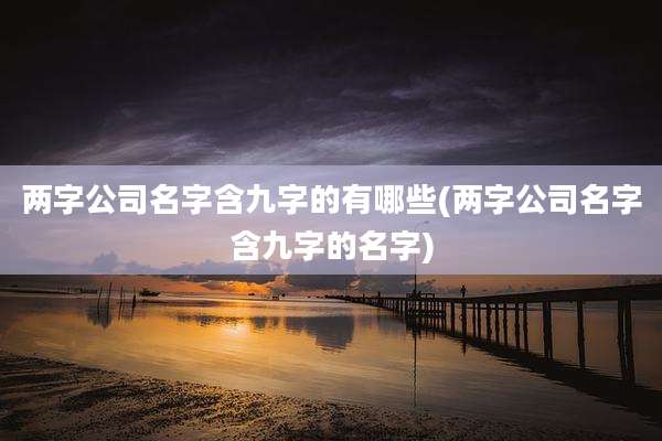 两字公司名字含九字的有哪些(两字公司名字含九字的名字)