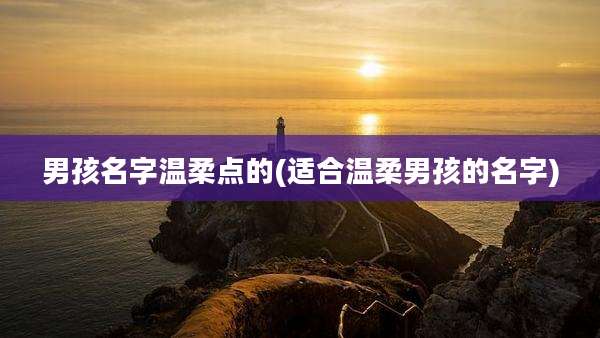 男孩名字温柔点的(适合温柔男孩的名字)