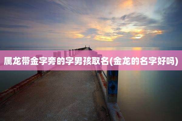 属龙带金字旁的字男孩取名(金龙的名字好吗)