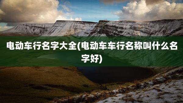电动车行名字大全(电动车车行名称叫什么名字好)