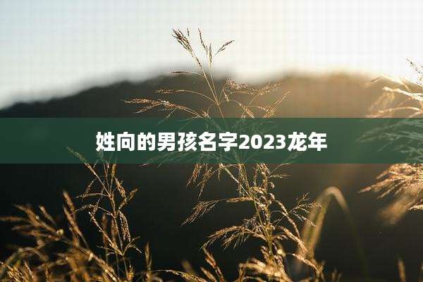 姓向的男孩名字2023龙年