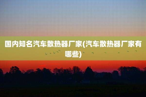 国内知名汽车散热器厂家(汽车散热器厂家有哪些)
