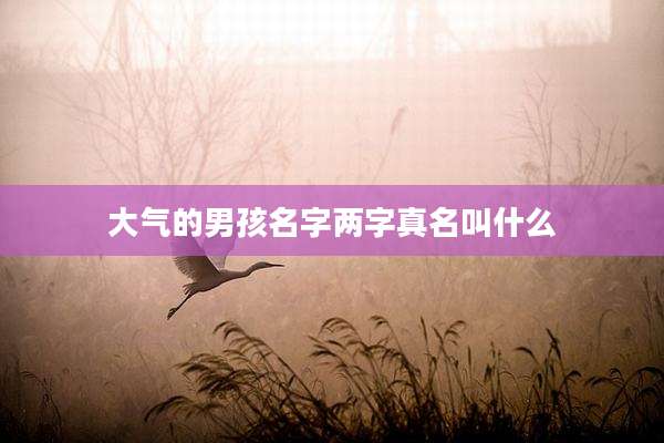 大气的男孩名字两字真名叫什么