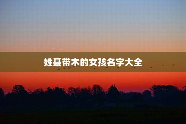 姓聂带木的女孩名字大全
