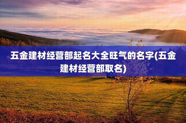 五金建材经营部起名大全旺气的名字(五金建材经营部取名)