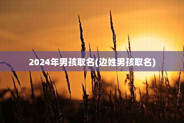 2024年男孩取名(边姓男孩取名)