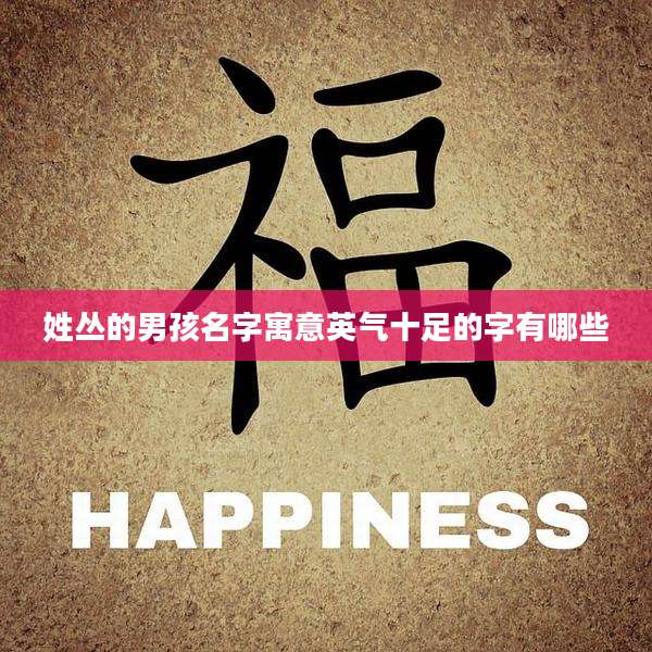 姓丛的男孩名字寓意英气十足的字有哪些