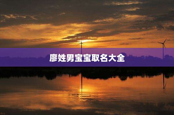 廖姓男宝宝取名大全