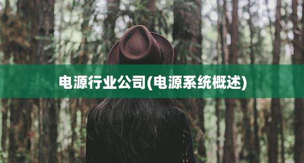 电源行业公司(电源系统概述)