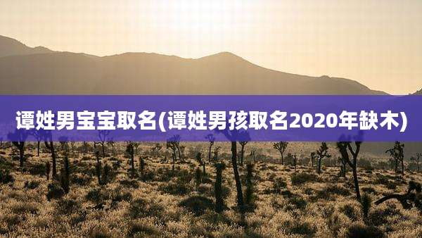 谭姓男宝宝取名(谭姓男孩取名2020年缺木)