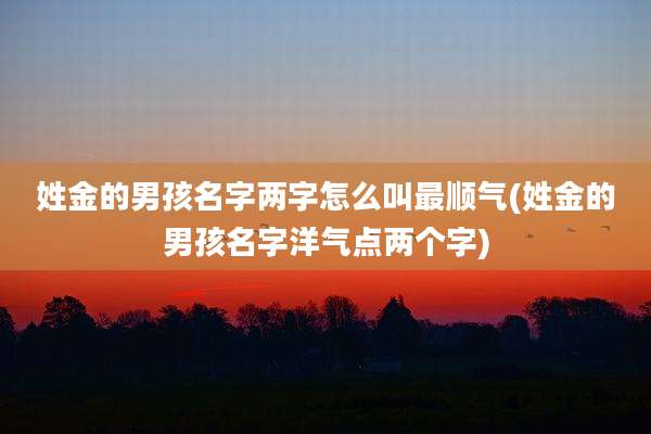 姓金的男孩名字两字怎么叫最顺气(姓金的男孩名字洋气点两个字)