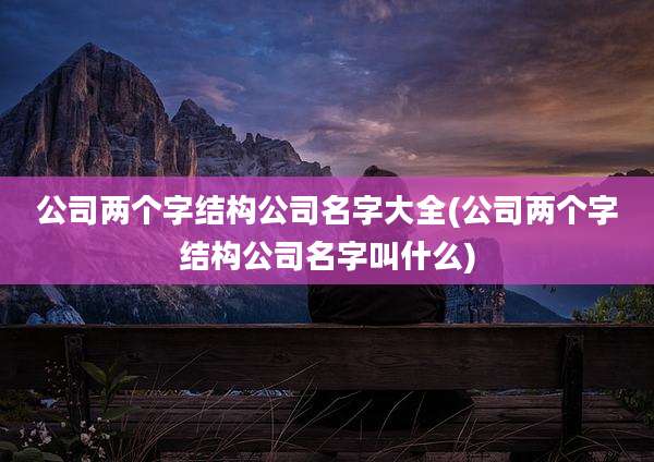 公司两个字结构公司名字大全(公司两个字结构公司名字叫什么)