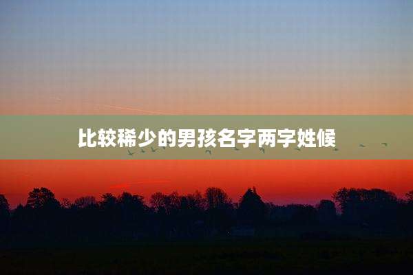 比较稀少的男孩名字两字姓候