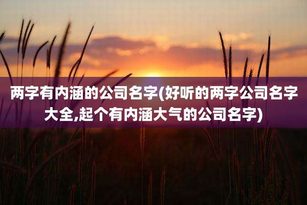 两字有内涵的公司名字(好听的两字公司名字大全,起个有内涵大气的公司名字)